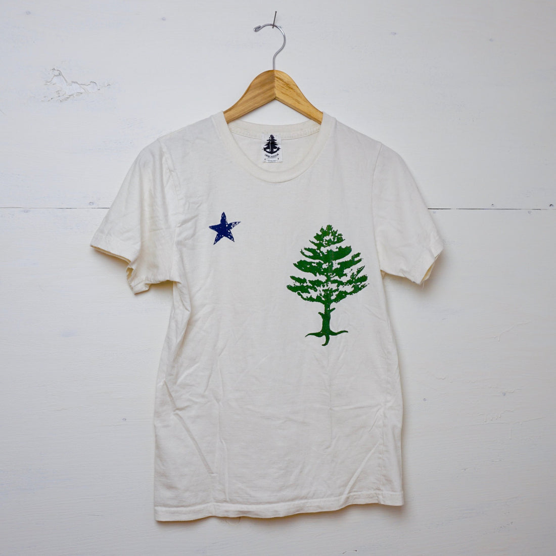 Maine's First Flag
