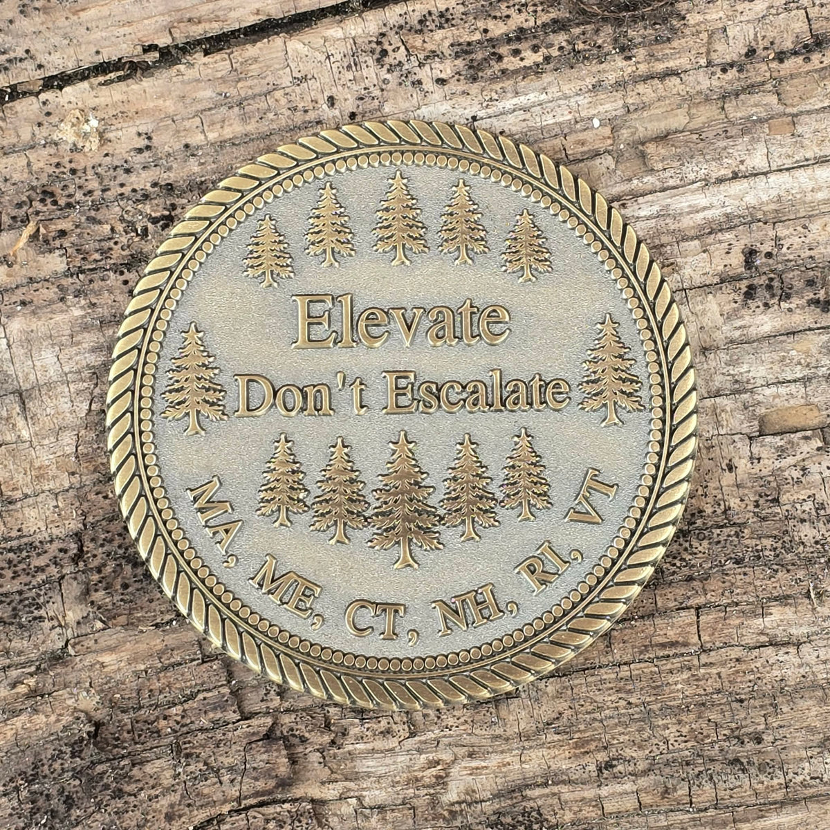Saints Challenge Coin