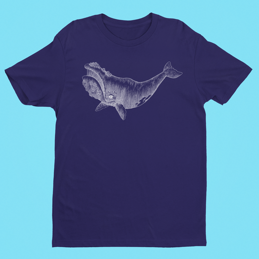 Right Whale