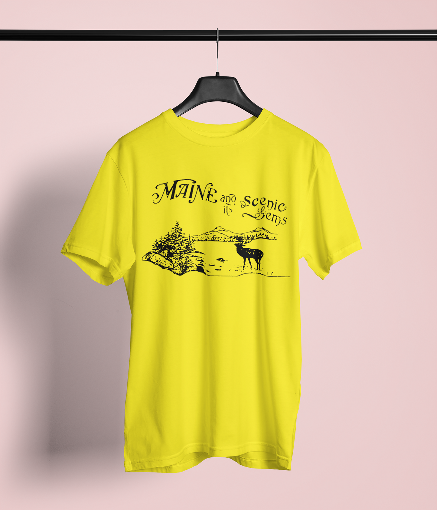 Maine and it's Scenic Gems T-Shirt